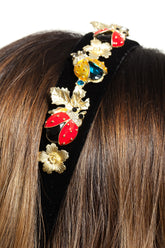 Bentita Aplicatii Buburuze